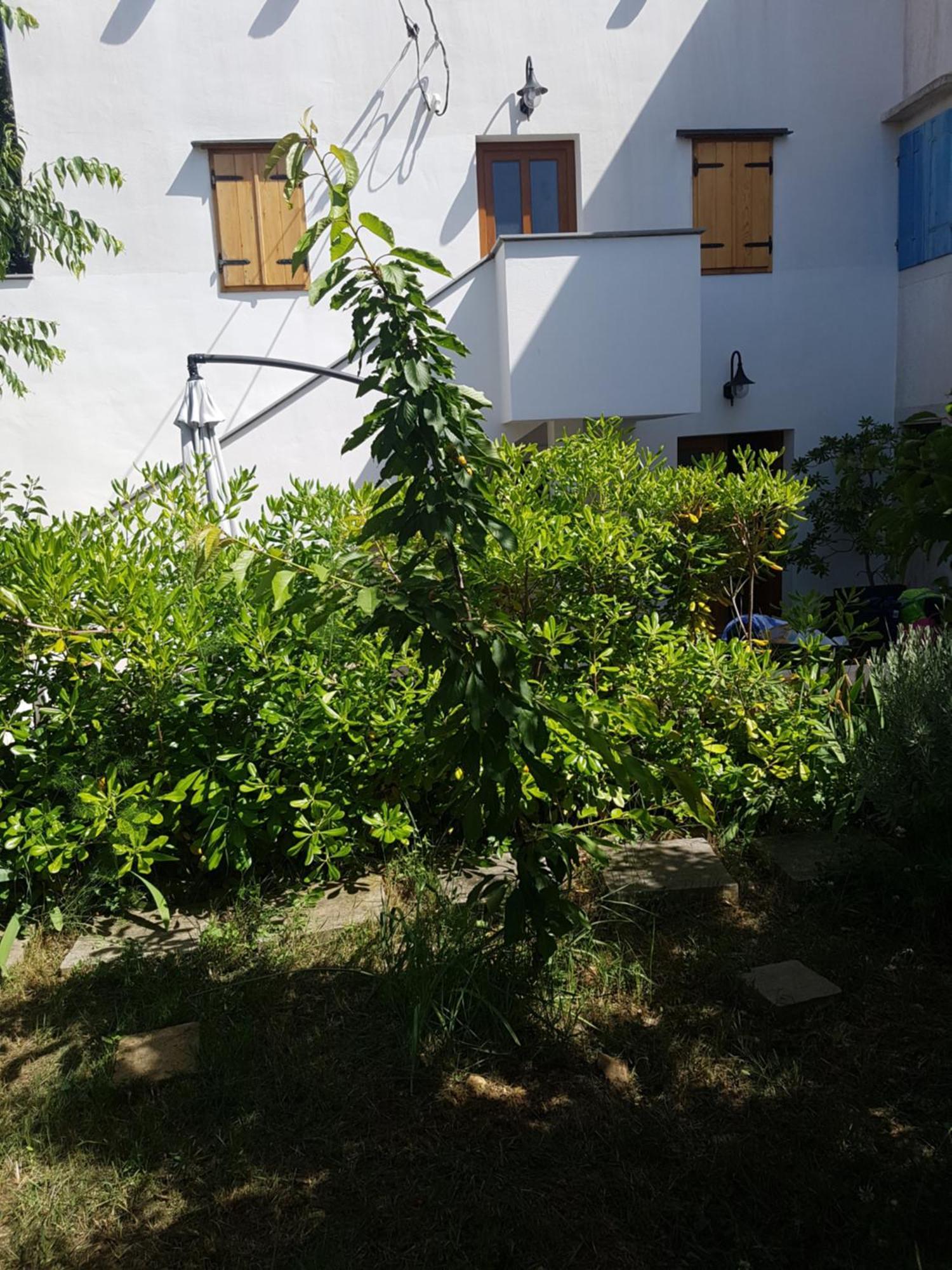Apartman Stella Maris Veli Losinj Exterior photo